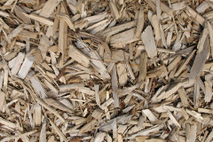 biomass boilers Allhallows